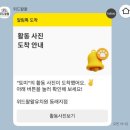 예쁨유치원 | 부산 애견유치원 동래 강아지유치원 위드왈왈 데이케어 후기