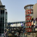 메카안경원 | [리뷰] 안경 유목민.. 그게 바로 저에요 💦 (#라페안경원 #안경점 후기)