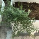 풍원농약사 이미지