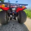 킴코 mxer 125cc ATV 4륜 오토바이 휘발유 농업용 운반 사발이 사륜바이크 이미지