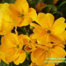 한아름농원 이미지