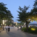 새봄코리아 | 경주 야경 명소 보문호 따라 걷는 산책 낭만 가득한 밤