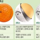 고잔골프연습장 이미지