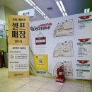 셀프 아파트 인테리어를 위한 대성하우징 창동매장 방문후기