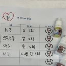 분당밝은아이동물병원