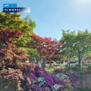 이천시 설봉공원 테니스장 | 경기도 주말나들이 가볼만한곳 이천 설봉공원