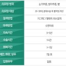 나노디자인 이미지