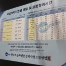 수 카센타 이미지