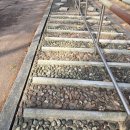 (주)넷리얼 | 여자 넷이 떠난 봄맞이 소래산 등산 : 시흥 산림욕장 코스 &amp; 4인 4색 신발 리뷰 (feat. 진달래 실시간...