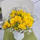 평안약국 이미지