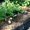 율곡농장 이미지