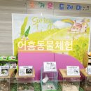 도레미어린이집 이미지