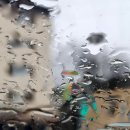 오토갤러리 이미지