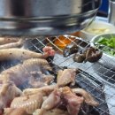 벌떡꼼장어