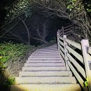 도마령(영) 네이버블로그
