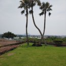 제주대지공인중개사사무소 이미지