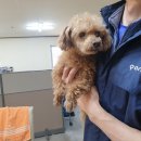 쌍용사거리 이미지