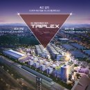 트리플렉스 Daum카페