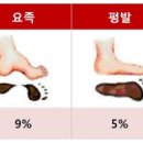 피터웍스 이미지