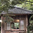 장수돌판김치 | [남양주/진접]서울 근교 남양주 오리돌판구이 약수촌 2인 세트 오리뼈탕 주말 점심 내돈내산 후기