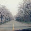 당나루물꽃마을 이미지