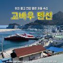 고바우펜션 티스토리