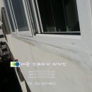 동아목련 이미지