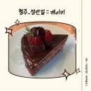 [청주_성안길]청주성안길카페 성안길케이크 :: 케이키