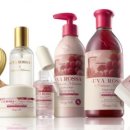 누리라인 이미지