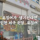 원당오징어