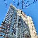 수영-303 이미지