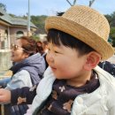 슈슈랜드