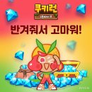 인디오븐 이미지