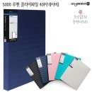 모닝글로리 이미지