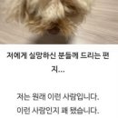 듀 이미지