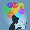 웹 개발 언어의 비교: HTML, CSS, JavaScript, Python 등