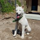 장호2리마을회관 이미지