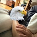 스포존 | 하루하루가 시험이고 하루하루가 survival입니다