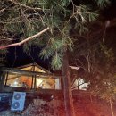 신세계백화점시스템옴므 이미지