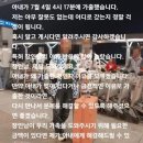 문신한 베트남 젊은 여성과 국제결혼했던 &#39;포항 아재&#39; 틱톡 근황 이미지