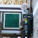 기타사고력교실 교하8단지교실 | 우리 지역 곤충생태 체험장을 찾아서-킨텍스 ‘라바와 함께 하는 3D곤충체험전’, ‘파주나비나라박물관...