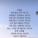 황금복돼지 티스토리
