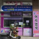 구피염색방 이미지
