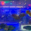 구암동488 이미지