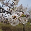 화랑공원 이미지