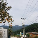 경수봉민박 이미지