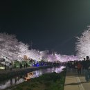 천안시충남국악관현악단 코로나19 극복콘서트2 | 천안 가볼 만한 곳!! 최고의 데이트 코스 벚꽃 만개 야경 최고 원성천 소개