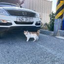 이마트24 동해묵호등대점 이미지