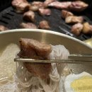 신도세기 이미지
