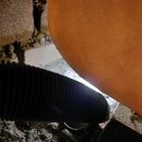 가좌주공그린빌아파트 이미지